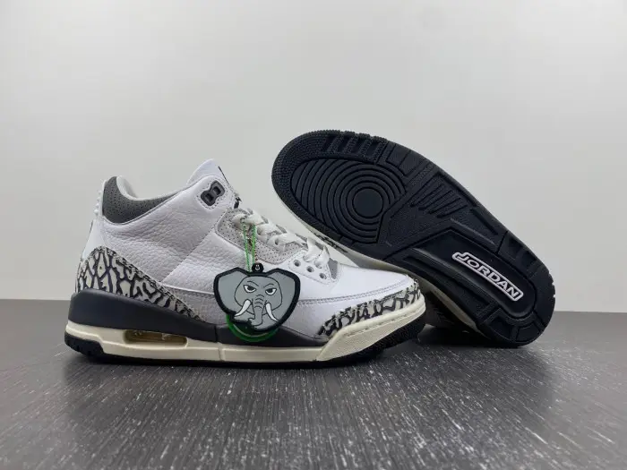 Air Jordan 3 GS Hide N' Sneak 