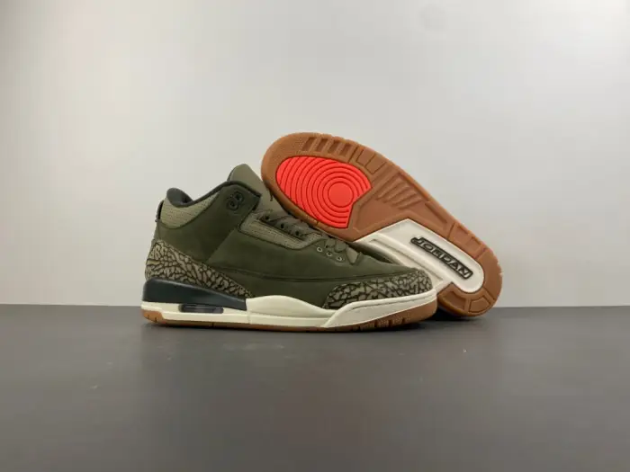 Air Jordan 3 “Family Affair” 