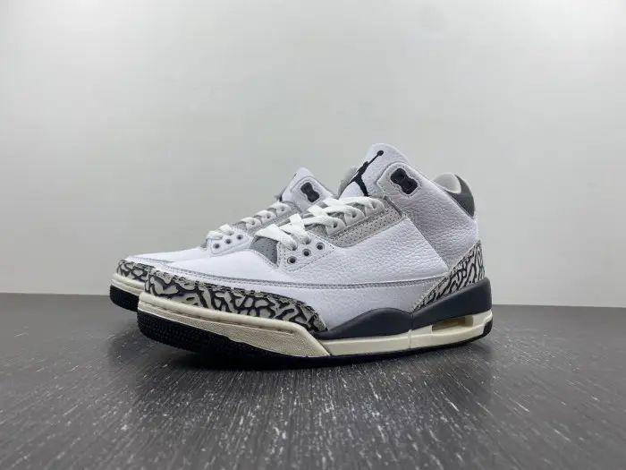 Air Jordan 3 GS Hide N' Sneak 