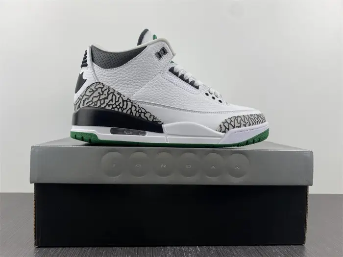 Air Jordan 3 retro oregon 