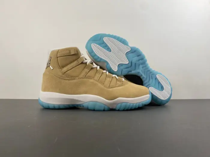 Air Jordan 11 H-Town 