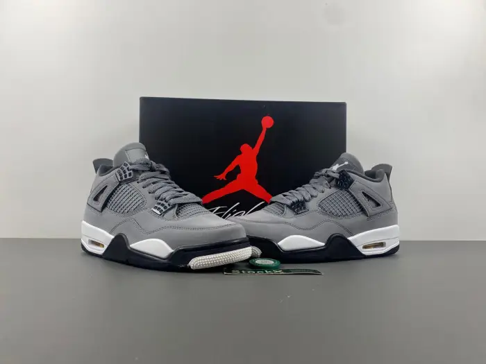 Air Jordan 4 Retro Cool Grey 2019 