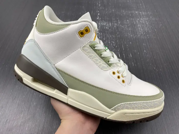 Air Jordan 3 Retro 