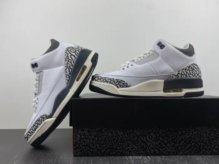 Air Jordan 3 GS Hide N' Sneak 
