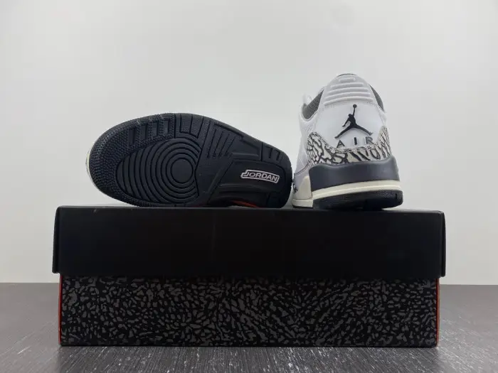Air Jordan 3 GS Hide N' Sneak 
