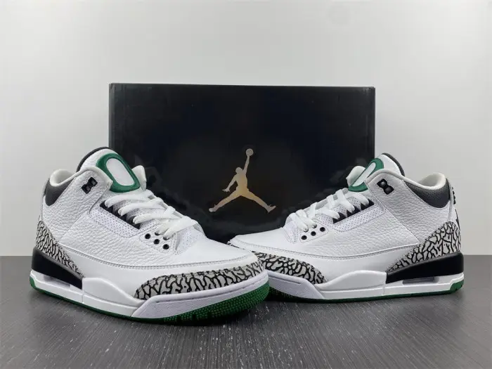 Air Jordan 3 retro oregon 
