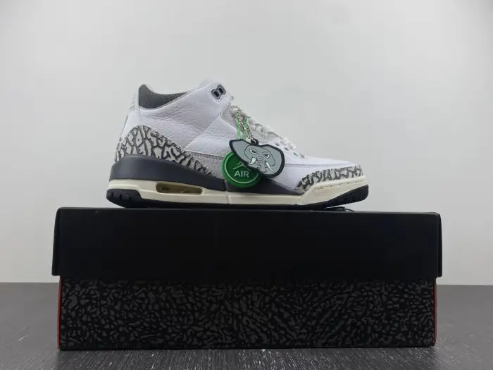 Air Jordan 3 GS Hide N' Sneak 