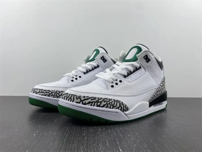 Air Jordan 3 retro oregon 