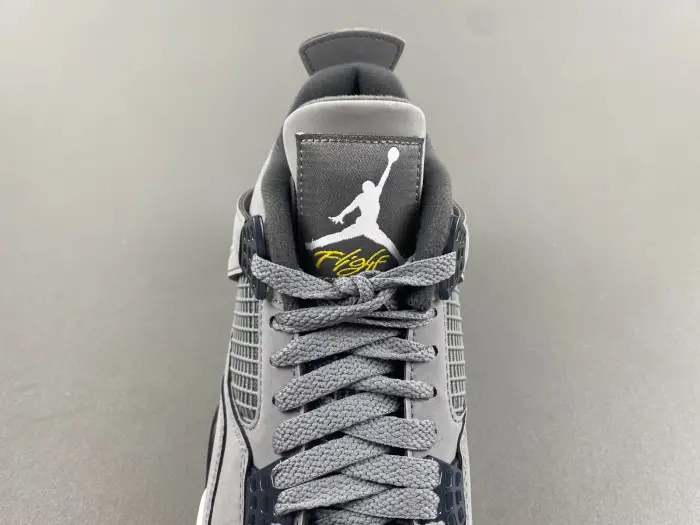 Air Jordan 4 Retro Cool Grey 2019 
