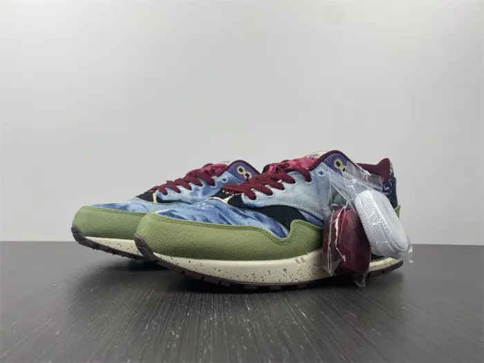 Nike Air Max 1 SP Concepts Mellow 