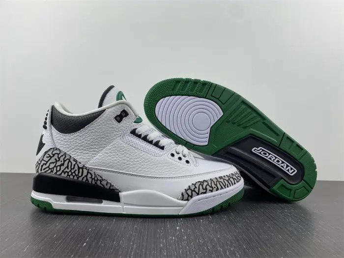 Air Jordan 3 retro oregon 