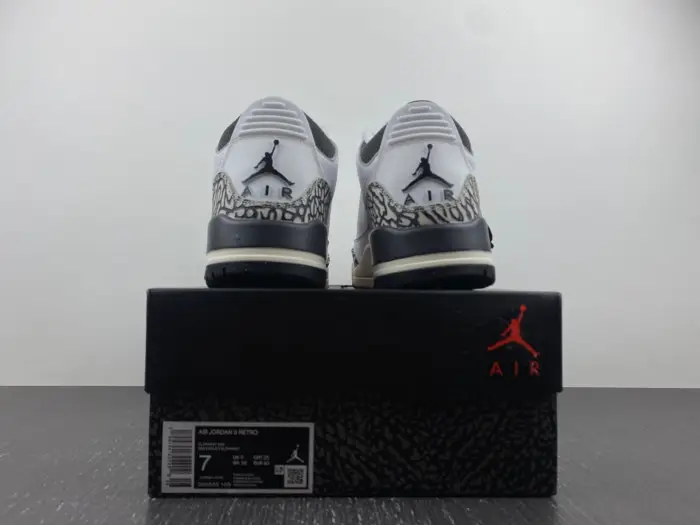 Air Jordan 3 GS Hide N' Sneak 