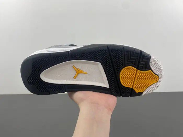 Air Jordan 4 Retro Cool Grey 2019 