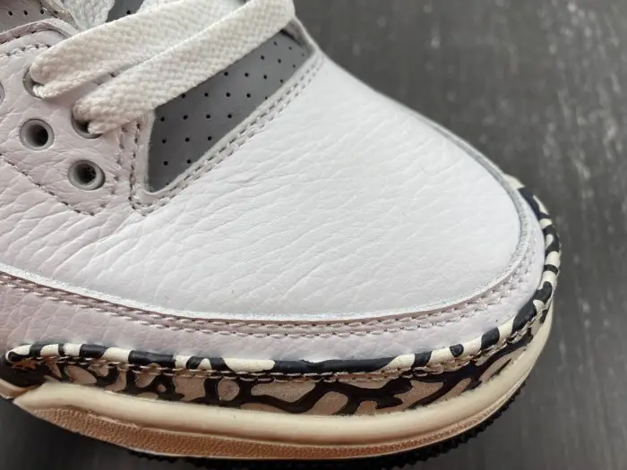 Air Jordan 3 GS Hide N' Sneak 