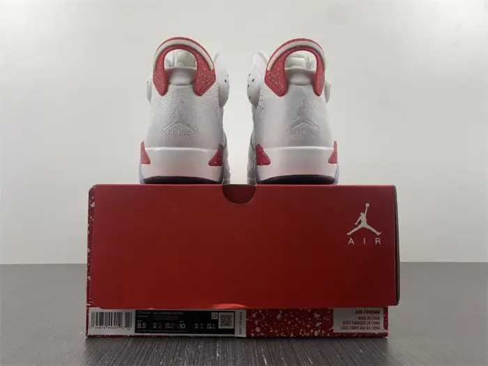 Air Jordan 6 Red Oreo 