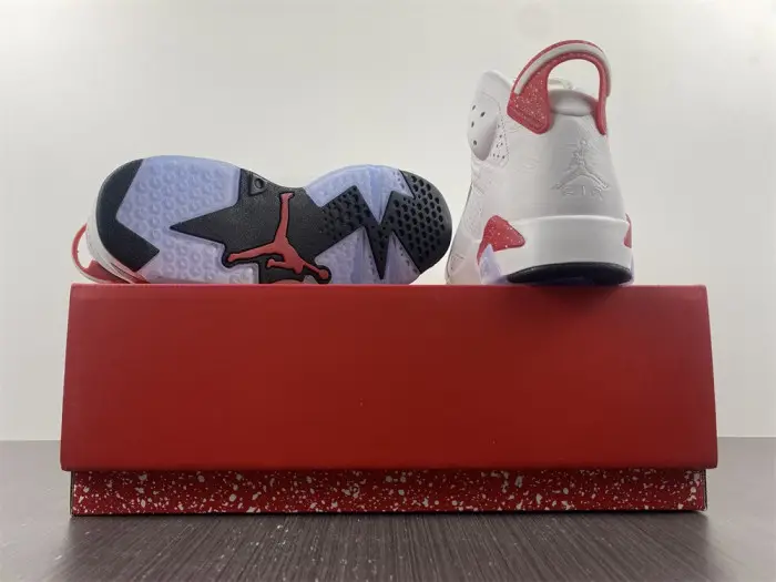 Air Jordan 6 Red Oreo 