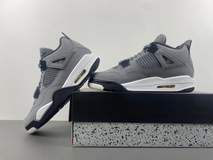 Air Jordan 4 Retro Cool Grey 2019 