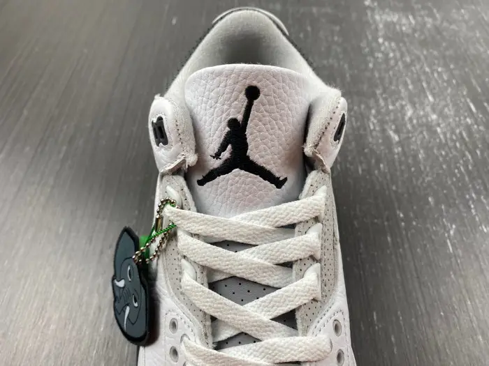 Air Jordan 3 GS Hide N' Sneak 
