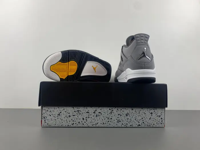 Air Jordan 4 Retro Cool Grey 2019 