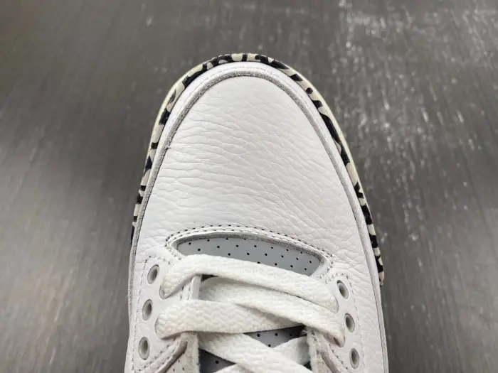 Air Jordan 3 GS Hide N' Sneak 