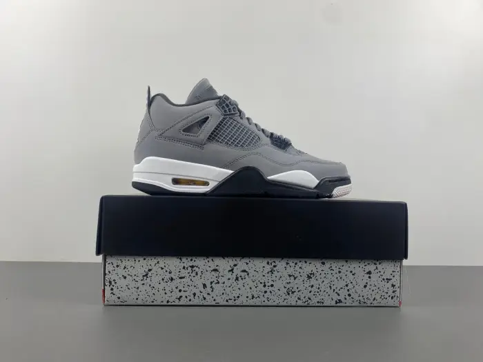 Air Jordan 4 Retro Cool Grey 2019 