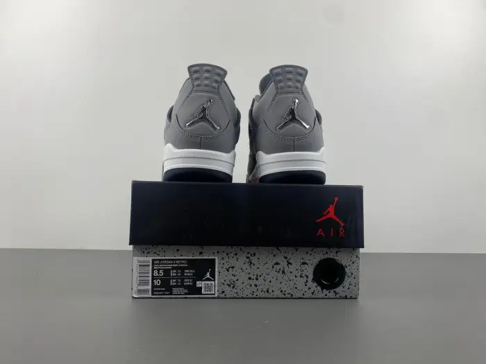 Air Jordan 4 Retro Cool Grey 2019 