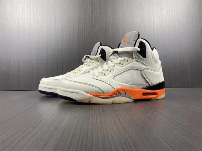 Air Jordan 5 Shattered Backboard 