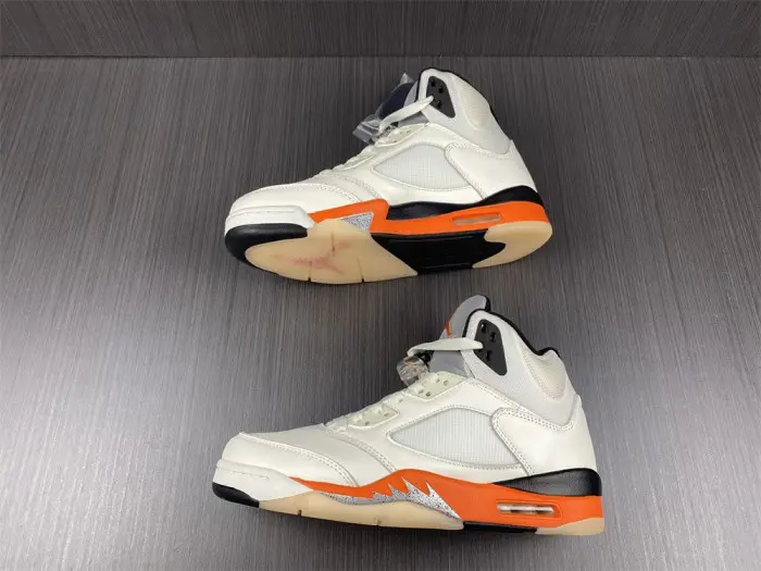 Air Jordan 5 Shattered Backboard 
