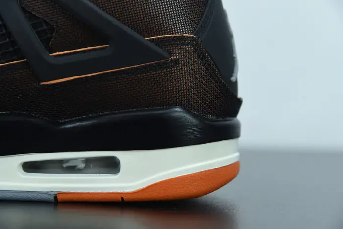 Air Jordan 4  Retro Starfish 