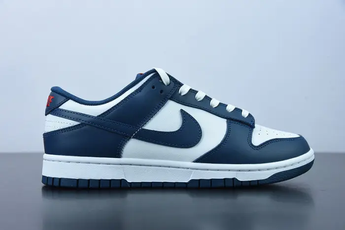 Nike Dunk Low Valerian Blue 