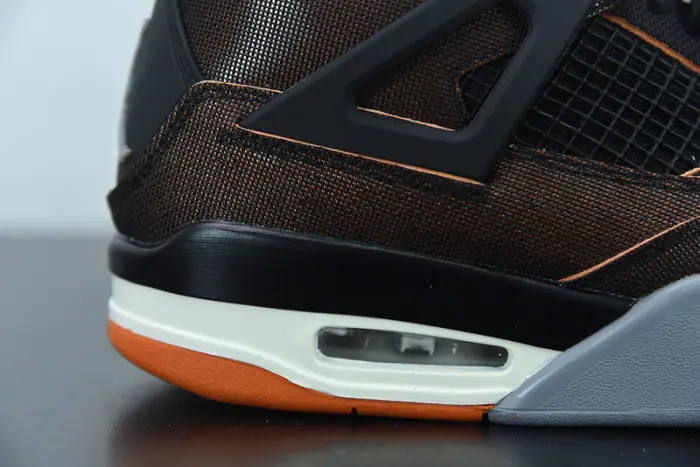 Air Jordan 4  Retro Starfish 