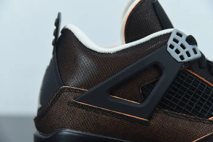 Air Jordan 4  Retro Starfish 