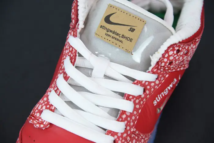Nike Dunk Low x “Stingwater 