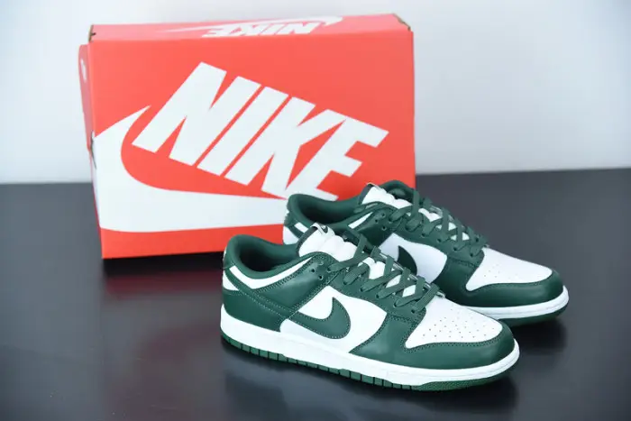 Nike Dunk Low Michigan 