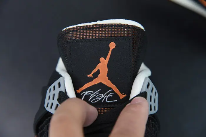 Air Jordan 4  Retro Starfish 