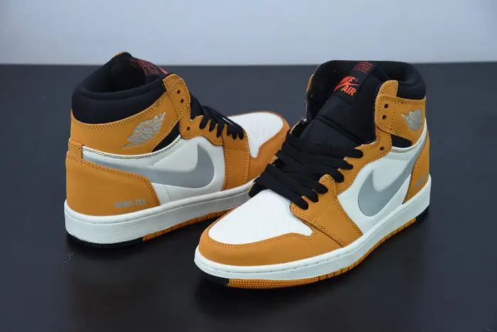 Air Jordan 1 Element 