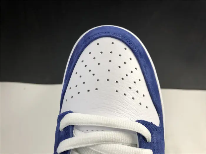 Nike Dunk SB Low Ishod Wair "BMW" 