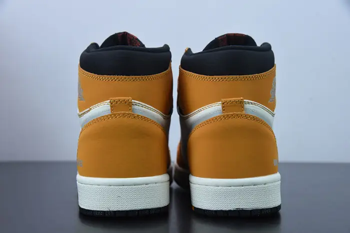 Air Jordan 1 Element 