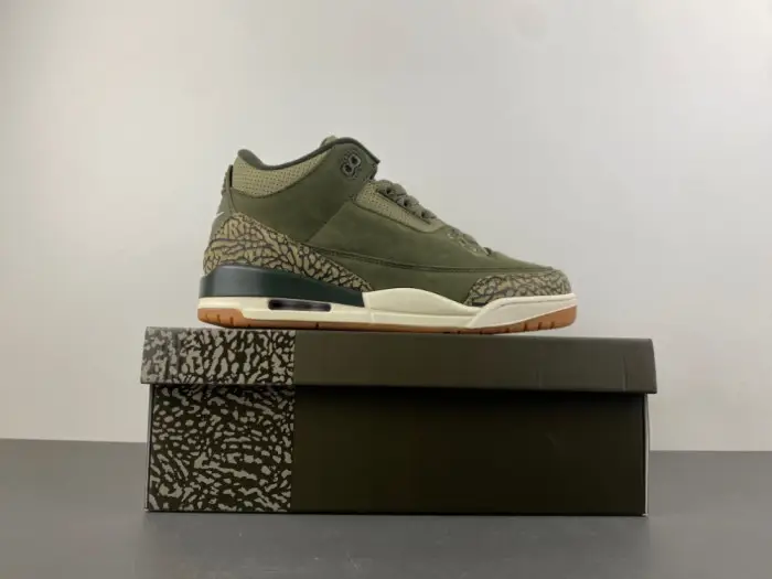 Air Jordan 3 “Family Affair” 