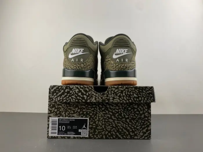 Air Jordan 3 “Family Affair” 