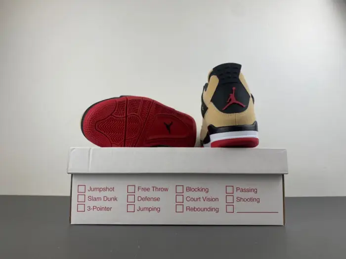 Air Jordan 4 Retro Pizza 