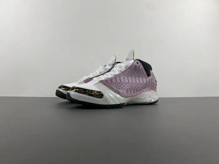 Air Jordan 23 White Stealth 