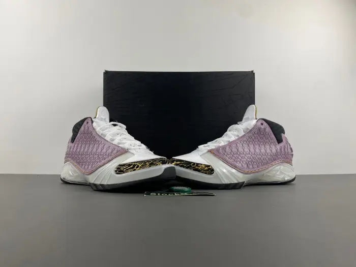 Air Jordan 23 White Stealth 