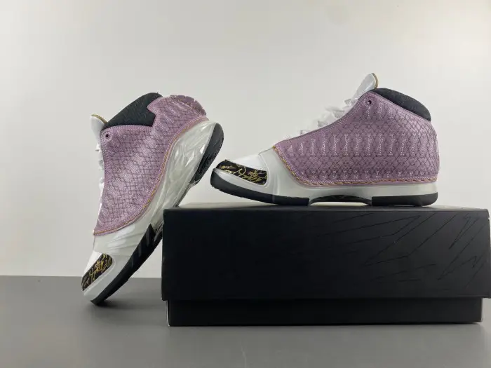 Air Jordan 23 White Stealth 