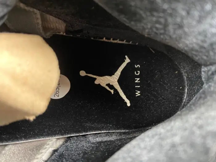 Air Jordan 5 Wings 