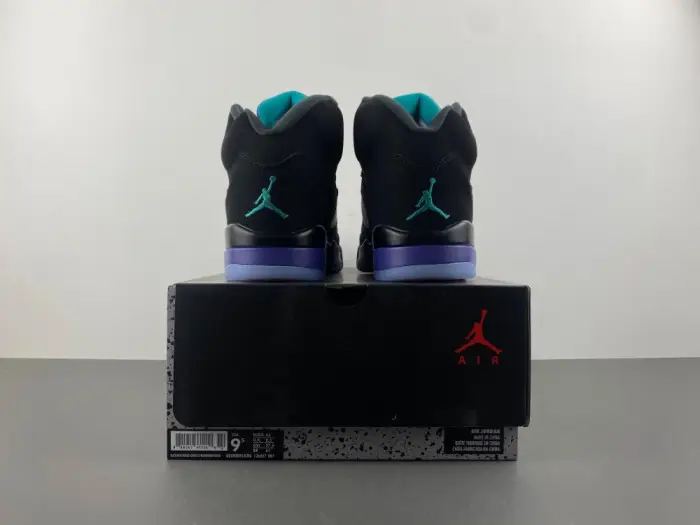 Air Jordan 5 Retro Black Grape 
