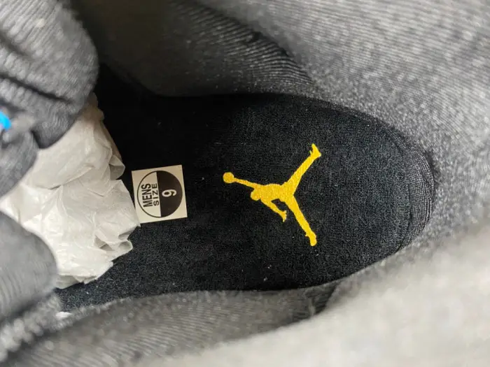 Air Jordan 11 Retro Gamma 