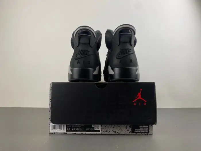 Air Jordan 6 Retro Cap and Gown 
